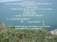 /album/galeria-de-fotos%3a-continua%c3%a7%c3%a3o/ha-dias-jpg/